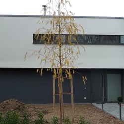 L1110674_107.jpg
