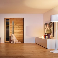 Menuiserie-Holweck-Trendtueren-Haustuer-02.jpg